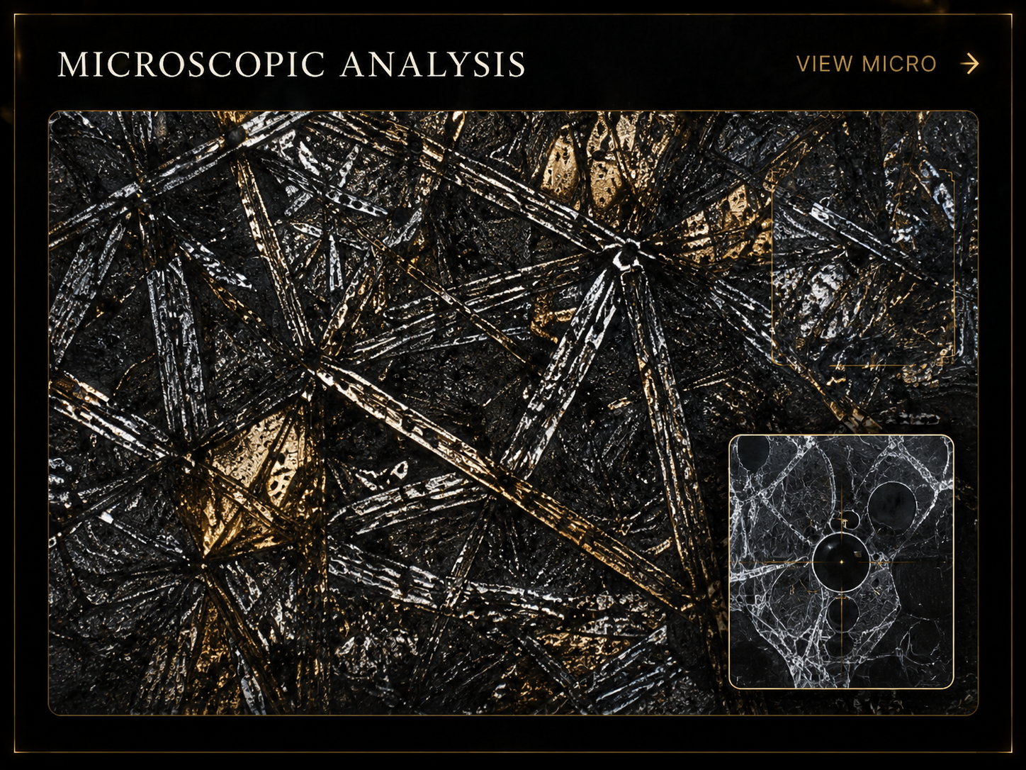 Microscopic analysis panel